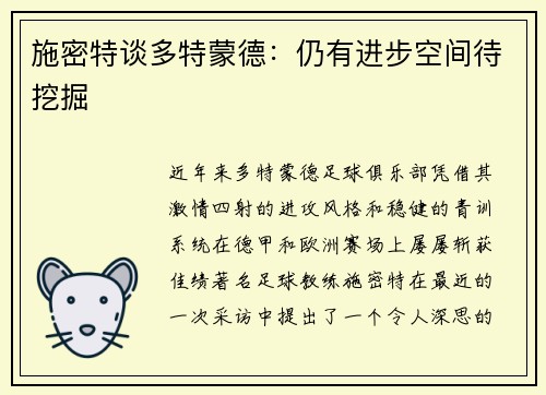施密特谈多特蒙德：仍有进步空间待挖掘