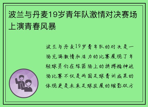 波兰与丹麦19岁青年队激情对决赛场上演青春风暴